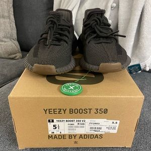 Yeezy boost 350 V2
